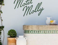 Motel Molly Dış Mekan