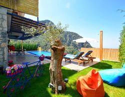 Villa Monte Telmossos With Private Pool, Jakuzzi and Sea View İç Mekan