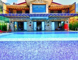Villa Monte Telmossos With Private Pool, Jakuzzi and Sea View Öne Çıkan Resim