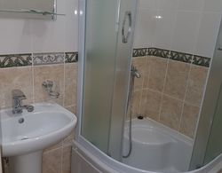 Hotel Moskovsky Banyo Tipleri