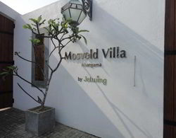 Mosvold Villa Genel