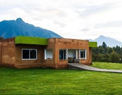 Mountain Gorilla View Lodge Dış Mekan