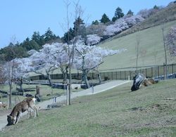 Mountain Home Lodge in Deer Park Dış Mekan