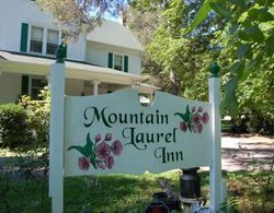 Mountain Laurel Inn Dış Mekan