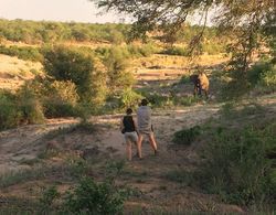 Mthimkhulu Private Game Reserve- Adults Only Genel