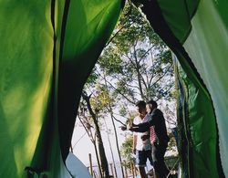 Munnar Jungle Camp Dış Mekan