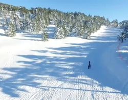 Murat Dağı Termal Turizm Kayak Merkezi Genel