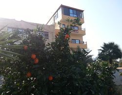 Murshed Motel Dış Mekan