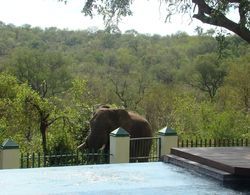 Muweti Bush Lodge Dış Mekan