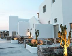 Mykonos Cactus Dış Mekan