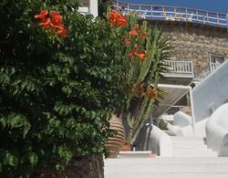 Mykonos View Hotel Genel