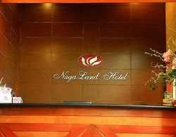 Nagaland Hotel Lobi