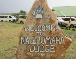 Nalepomara Lodge Öne Çıkan Resim