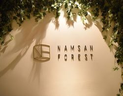 Namsan Forest in Myeongdong Öne Çıkan Resim