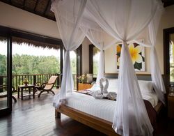 Nandini Bali Jungle Resort & Spa Ubud Genel