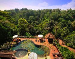 Nandini Bali Jungle Resort & Spa Ubud Havuz