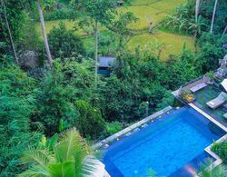 Nata Ubud Dış Mekan