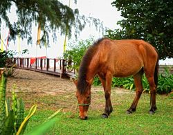 Nataya Roundhouse Coral Bay Resort and Spa Genel