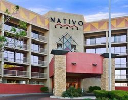 Nativo Lodge Genel
