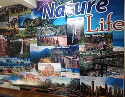 Nature Life Guest Inn Ella Sri Lanka - Hostel İç Mekan