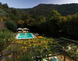 Villa Nel Bosco an Extraordinary Tuscan Retreat With Private Pool Oda