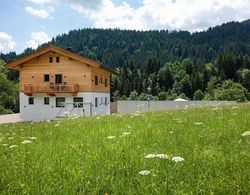 New Holiday Home With a Large Garden Near Ellmau in Tyrol Dış Mekan