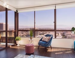 New Urban Downtown LA Luxury Apartment İç Mekan