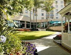 Newport Beach Marriott Bayview Manzara / Peyzaj