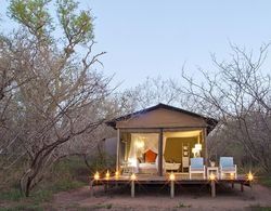 Ngama Tented Safari Lodge Dış Mekan