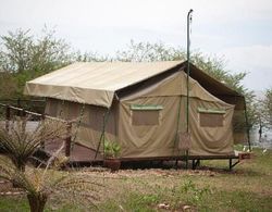 Ngamba Island Tented Camp Dış Mekan