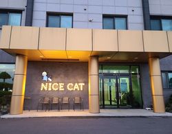 Nice Cat Hotel & Guest House Dış Mekan