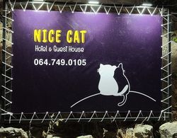 Nice Cat Hotel & Guest House Dış Mekan
