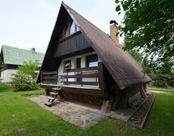 Nice Holiday Home With Fireplace in the Ore Mountains Near the Chairlift Dış Mekan