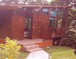 Nice Place In Quimbaya Quindio Close to Natural Parks Dış Mekan