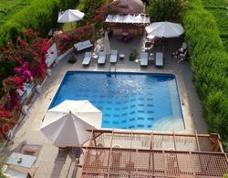 Nile Compound Hotel Dış Mekan