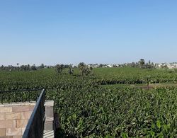 Nile Panorama Dış Mekan