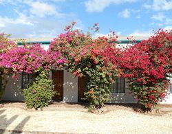 Obesa Lodge Dış Mekan