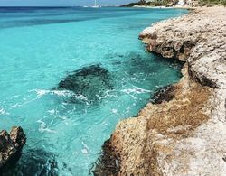 Ocean Front Villa in Aruba - Stunning Full House Dış Mekan