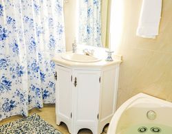 Ocean Front Property - Villa 3 Aruba with Hot Tub Banyo Tipleri