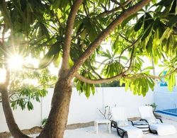 Ocean Front Property - Villa 3 Aruba with Hot Tub Dış Mekan