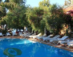 Okaliptus Hotel Havuz