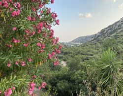 Oleander's Garden Dış Mekan