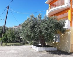 Olive Tree Apartment Dış Mekan