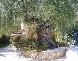 Olive Tree Villas Dış Mekan