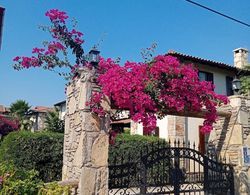 Olivia Houses 2 Worth to Look At Dış Mekan