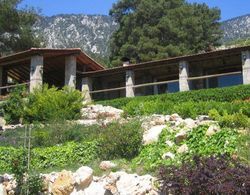 Olympos Mountain Lodge Genel