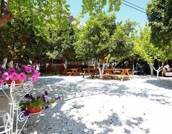 Olympos Ruya Pansiyon Dış Mekan