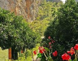 Olympos Tatilya Pansiyon Dış Mekan