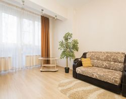 Apartments on Belinskogo 15 - apt 115 Oda Düzeni