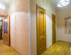 Apartment on Budapeshtskaya 7 İç Mekan